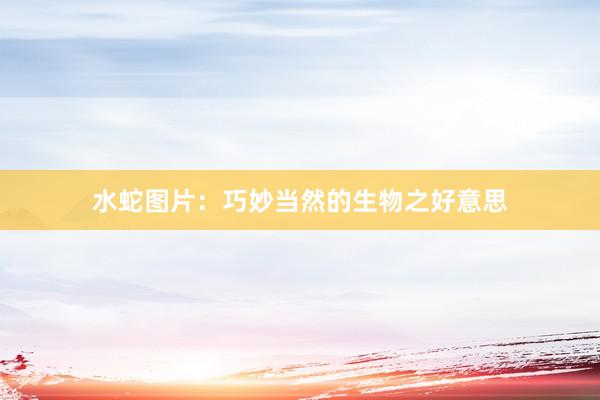 水蛇图片：巧妙当然的生物之好意思