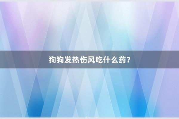 狗狗发热伤风吃什么药？