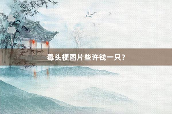 毒头梗图片些许钱一只？